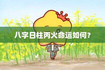 八字日柱丙火命运如何？