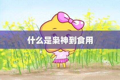 什么是枭神到食用