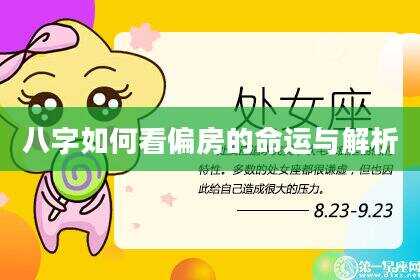 八字如何看偏房的命运与解析