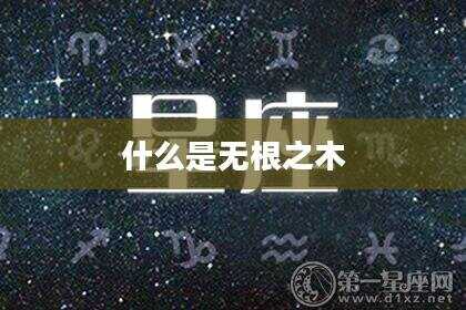 什么是无根之木