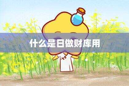 什么是日做财库用