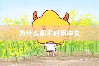 为什么都不好用中文