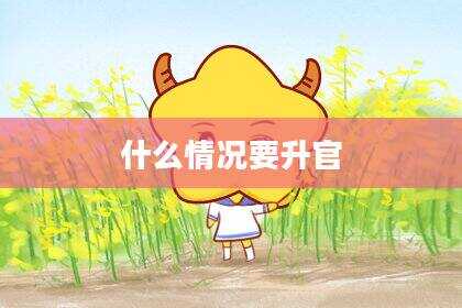 什么情况要升官