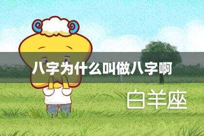 八字为什么叫做八字啊