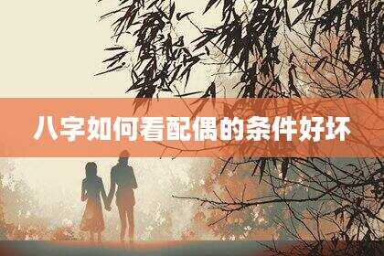 八字如何看配偶的条件好坏