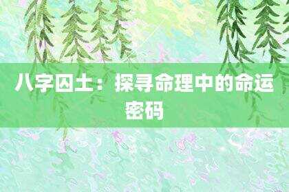 八字囚土：探寻命理中的命运密码