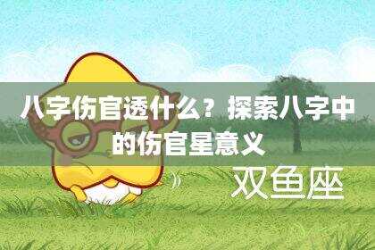 八字伤官透什么？探索八字中的伤官星意义
