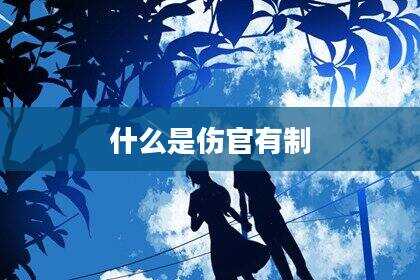 什么是伤官有制