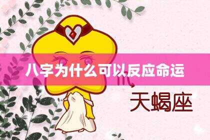 八字为什么可以反应命运