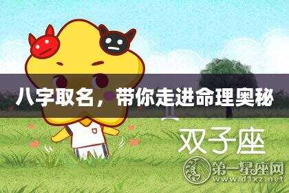 八字取名，带你走进命理奥秘