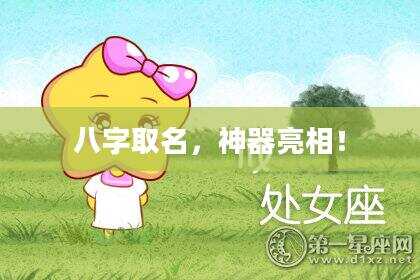 八字取名，神器亮相！