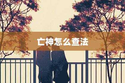 亡神怎么查法