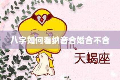 八字如何看纳音合婚合不合
