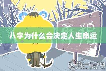 八字为什么会决定人生命运