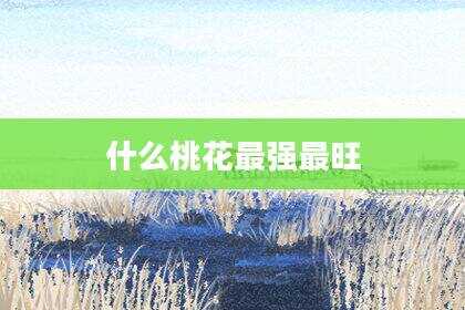 什么桃花最强最旺