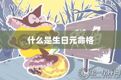 什么是生日元命格