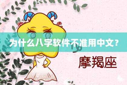 为什么八字软件不准用中文？