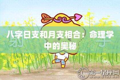 八字日支和月支相合：命理学中的奥秘