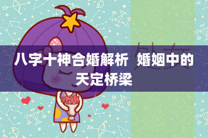 八字十神合婚解析  婚姻中的天定桥梁
