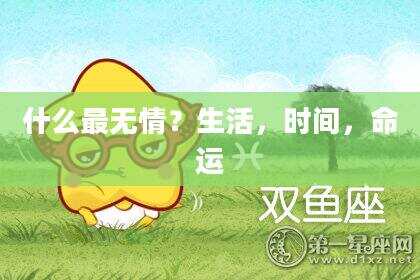 什么最无情？生活，时间，命运