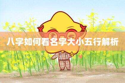 八字如何看名字大小五行解析