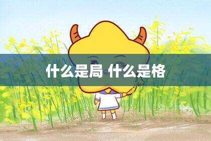 什么是局 什么是格