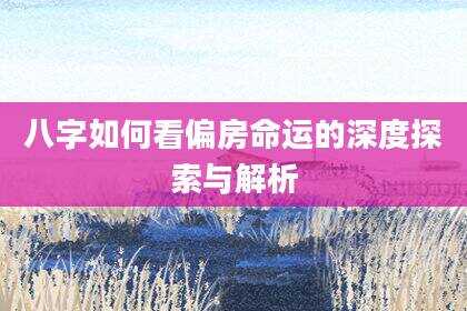 八字如何看偏房命运的深度探索与解析