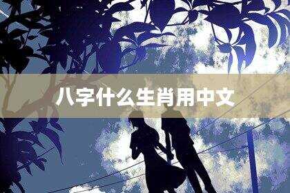 八字什么生肖用中文