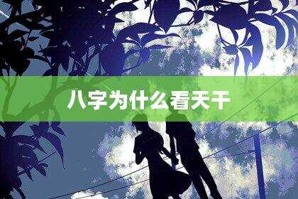 八字为什么看天干