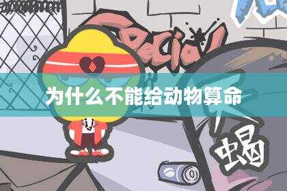 为什么不能给动物算命