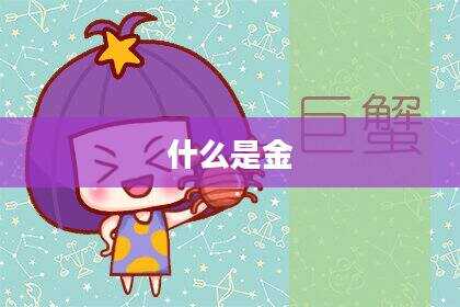什么是金