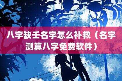八字缺壬名字怎么补救（名字测算八字免费软件）