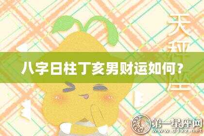 八字日柱丁亥男财运如何？