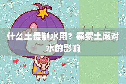 什么土最制水用？探索土壤对水的影响