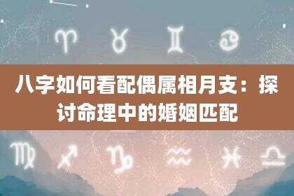 八字如何看配偶属相月支：探讨命理中的婚姻匹配