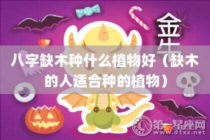 八字缺木种什么植物好（缺木的人适合种的植物）