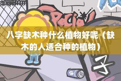 八字缺木种什么植物好呢（缺木的人适合种的植物）