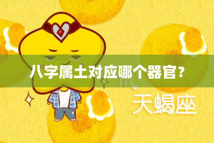 八字属土对应哪个器官？