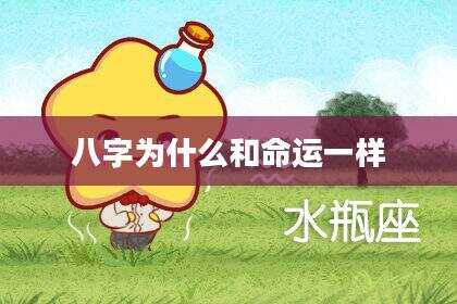 八字为什么和命运一样