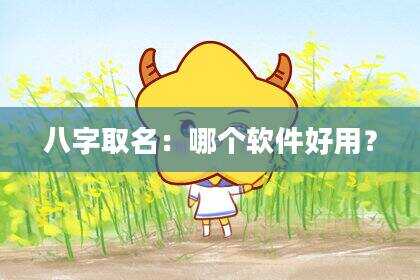 八字取名：哪个软件好用？