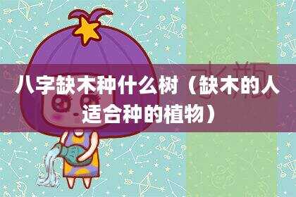 八字缺木种什么树（缺木的人适合种的植物）
