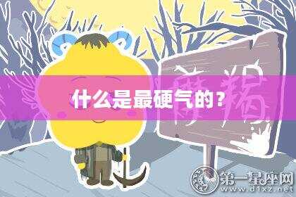什么是最硬气的？