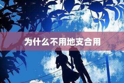 为什么不用地支合用
