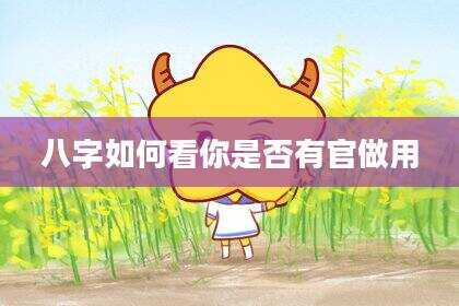八字如何看你是否有官做用