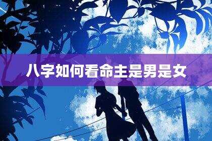 八字如何看命主是男是女