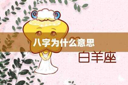 八字为什么意思