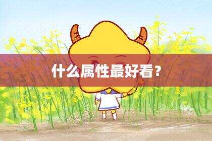 什么属性最好看？