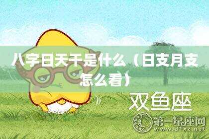 八字日天干是什么（日支月支怎么看）