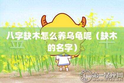 八字缺木怎么养乌龟呢（缺木的名字）