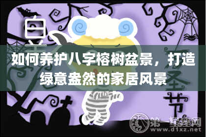 如何养护八字榕树盆景，打造绿意盎然的家居风景